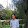 Toan Nguyen Quoc