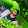 pricilla