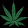 Weed Time