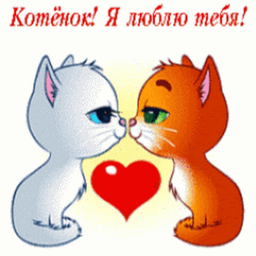 Открытки котёнок мой