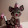 Kitti Like