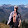 Chris Connor