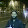 Sayeed Shaikh