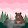 rares _429