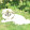 LOVE PETS