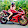 motol zssd Thailand