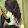 kushen elaiza