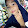Nur Fitra Aliah
