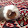Guinea piggy