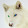 Gypsy Wolf