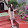 Chu Yen Linh