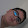 TEKİN ARDA HD