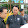The kop Ubon