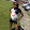 Amiera Johnson