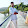 Yeshwanth Reddy