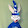 RabbitW1zard