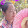 Truongthu Pham