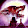 Leonyx Enix