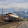 Trainspotter Germany