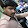 Tamil Tazz