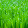renat _slf