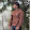 Ansh KASHYAP