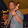 Shane Farris