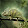 Yasher _