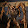 Uber Morph