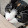 Cat Show