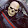 Ray Machete