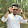 Akshay Kodakkat