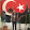 Karışık Tv