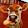 Mucca Corse