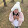 Paeng Naja
