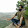 Nagaraj Rangadal