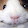 pixel boi