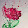 Hatim Noura