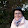 benedicte urbain