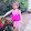 Huynh Huynh