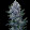 MR GROW