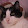 Nev Nove