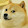Doge CZE
