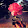 Aisha_And _Roblox