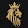 Johnny Lion