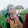 Gcc Cjvv