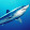 Shark Mako