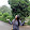 sampa parh