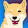 Trev Doge
