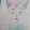 Naty the fox